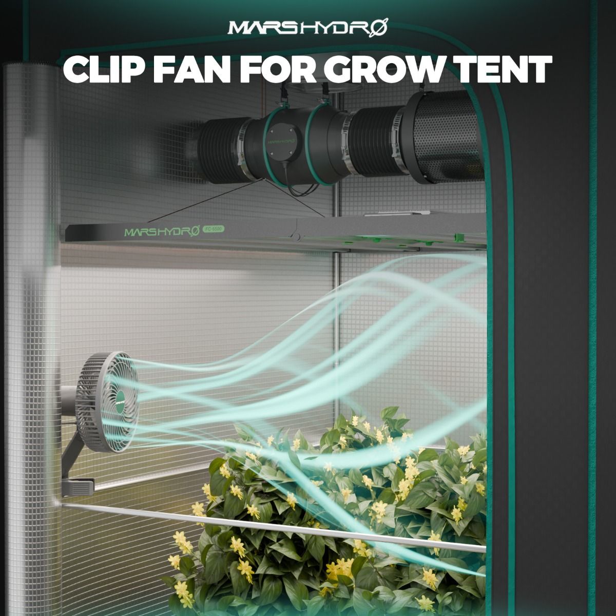 Mars Hydro TS 600 LED Grow Light + 2'X2'X4.5' (24"x24"x55") Complete Indoor Grow Tent Kits for Beginner - Back View