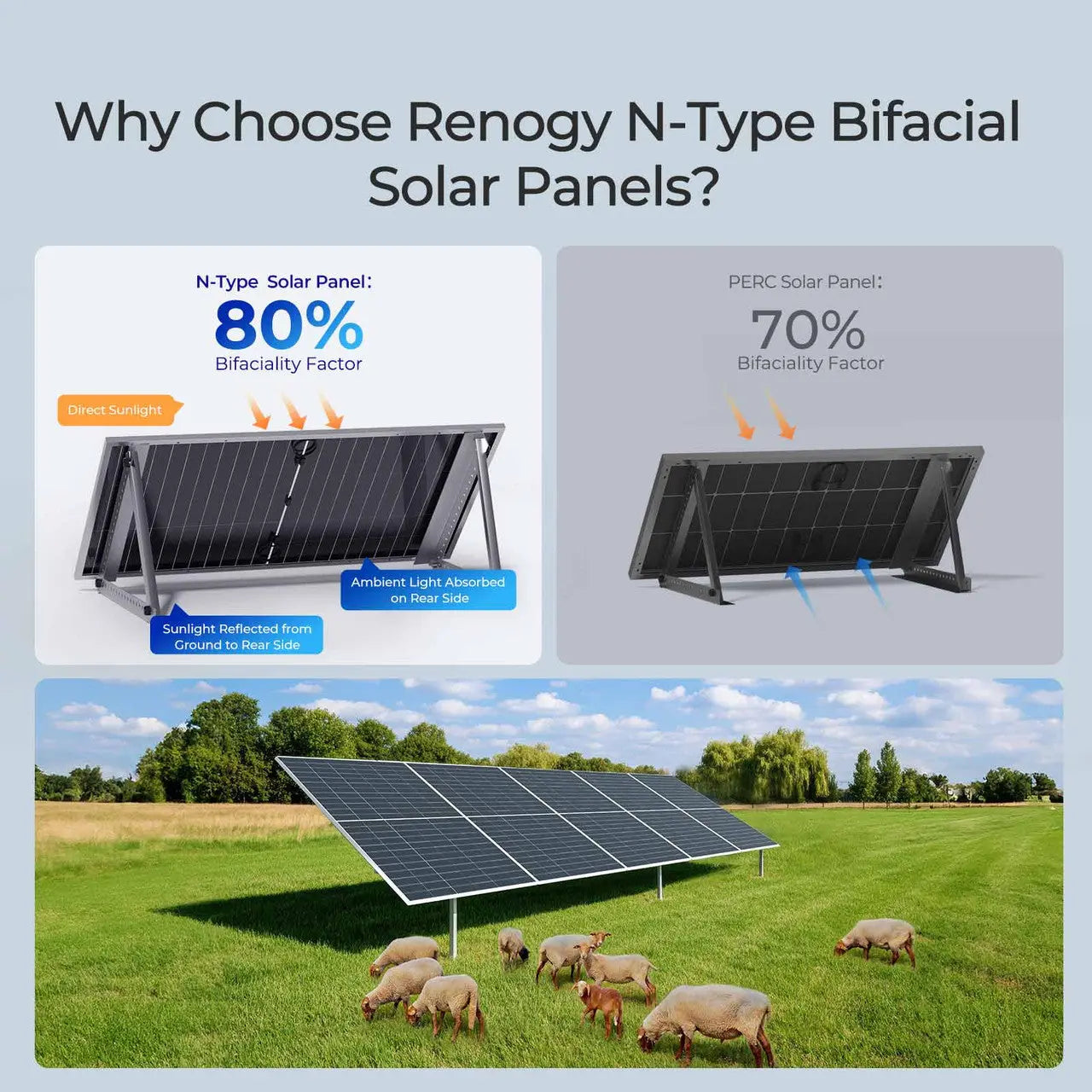 590W N-Type Bifacial Solar Panel（2-Pack）
