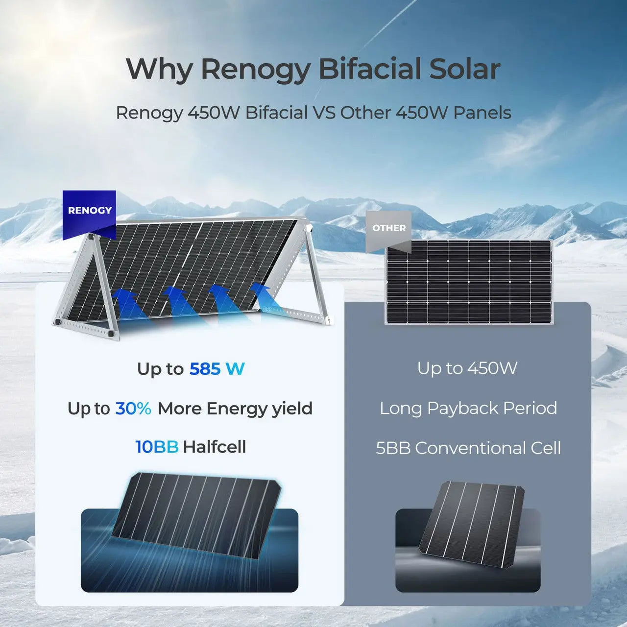 450W Bifacial Solar Panel（2-Pack）