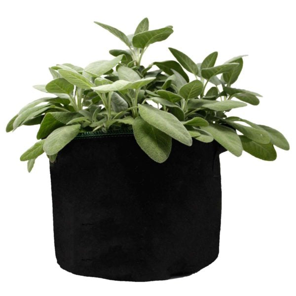 RediRoot Fabric Aeration Pot - Black (Pack of 5)