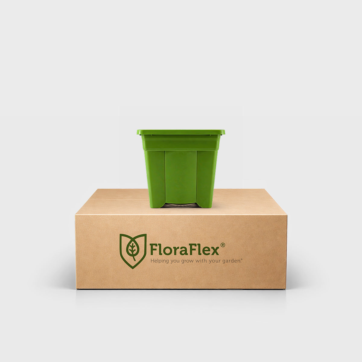 8" Tall Pot 2 Gal | Case