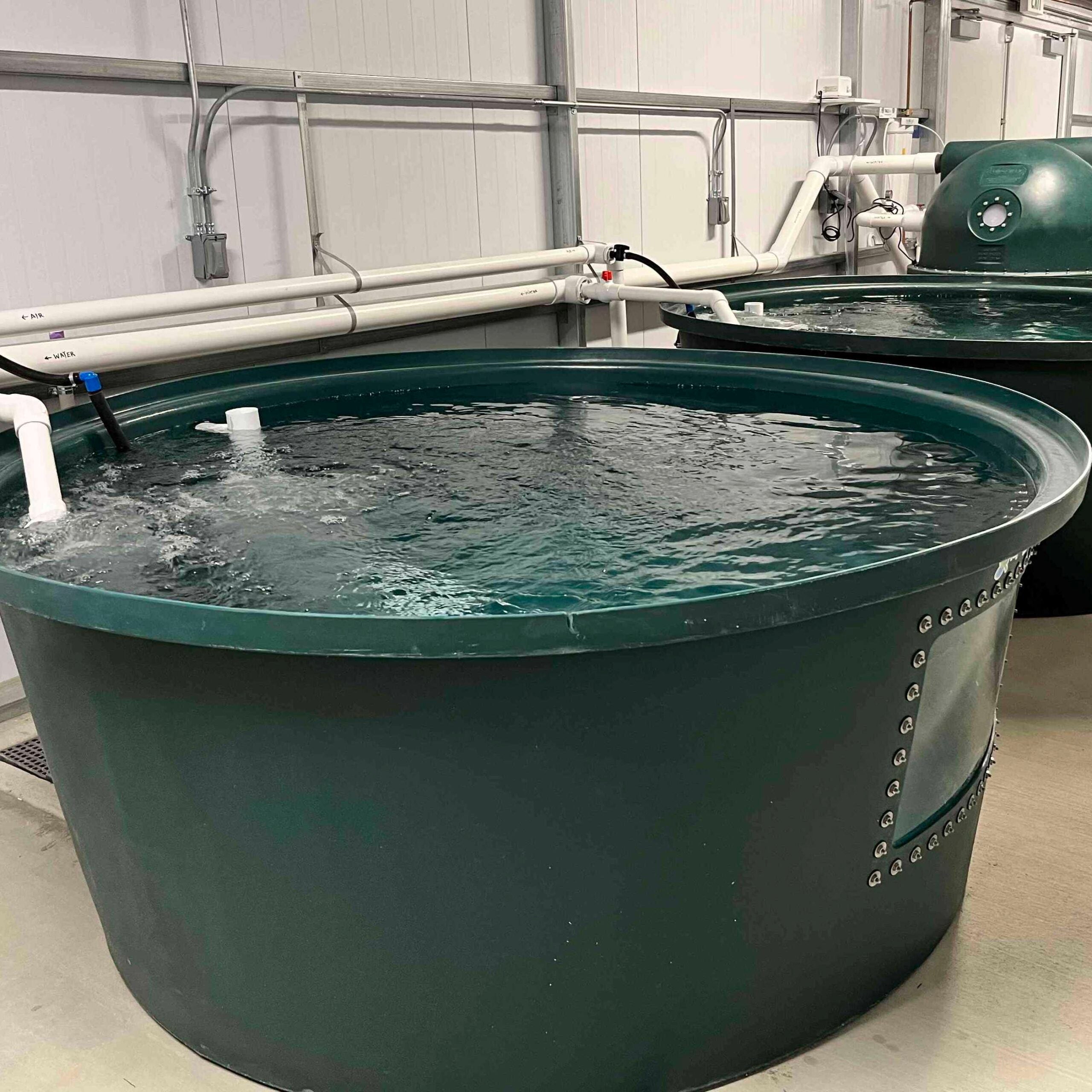 AquaBundance Modular 500 Gallon Fish Tank