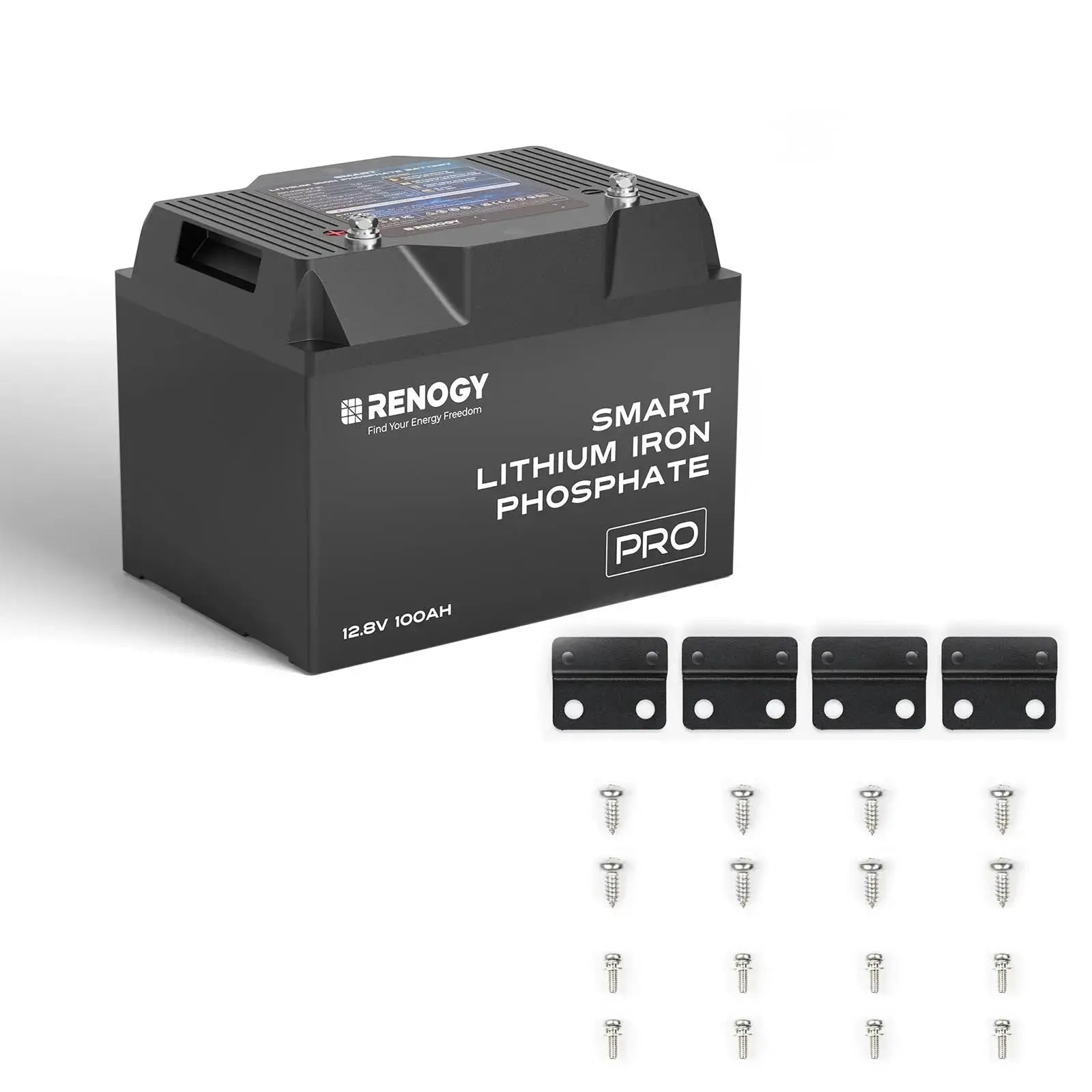 12V  100Ah Smart Lithium Iron Phosphate Battery w/Bluetooth & Self-heating Function | Pro Series