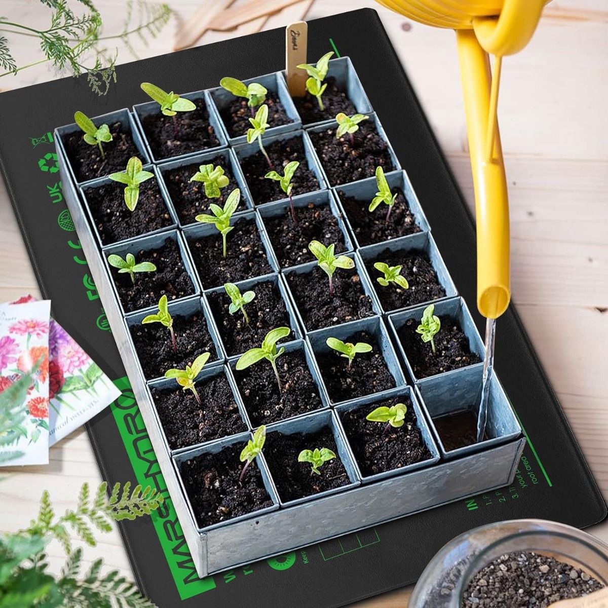 Mars Hydro Seedling Heat Mat Digital Thermostat Combo 48''x20.75''（Preorder ships Mar. 20） - Performance View