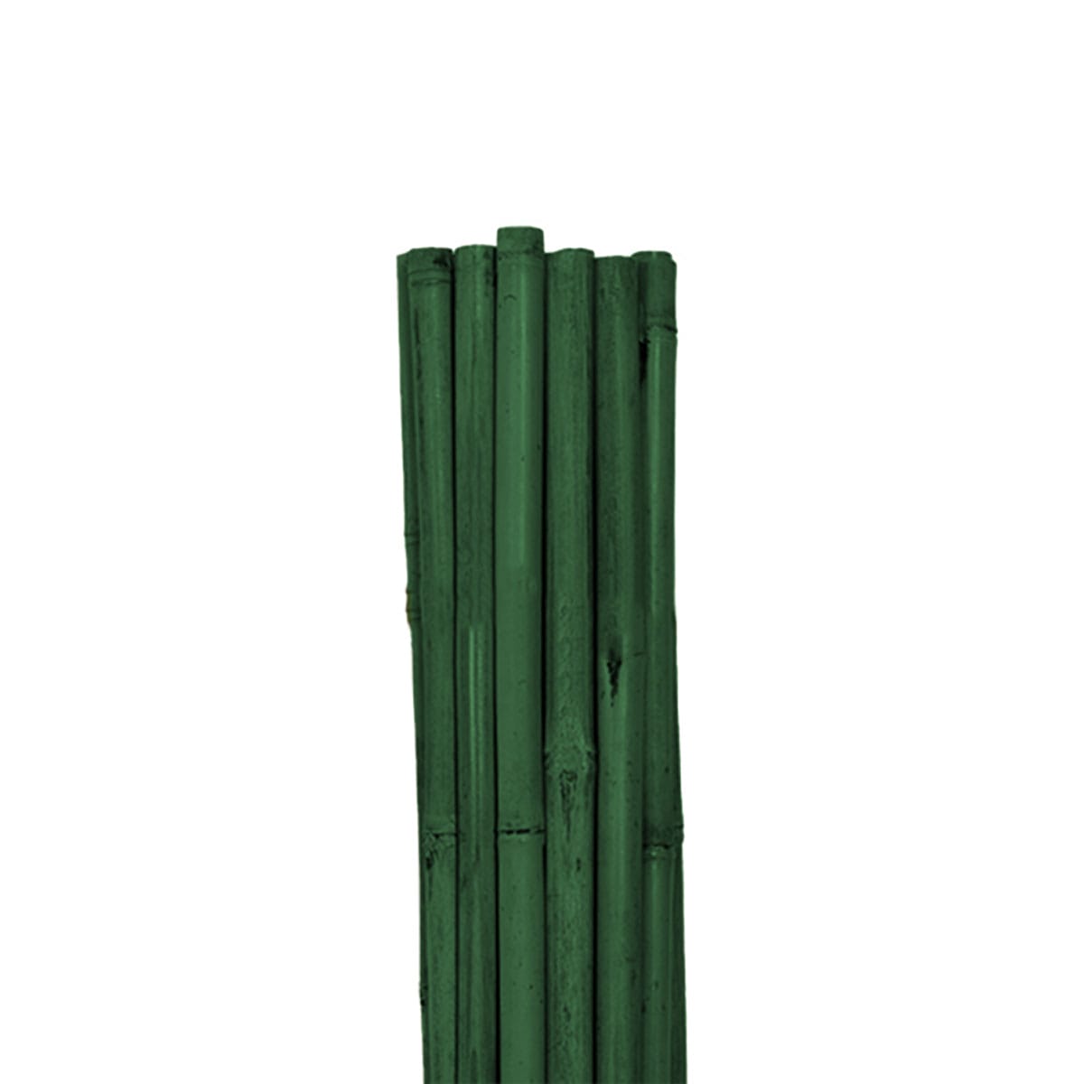 Supply 2' Bamboo Stakes   25 Pack