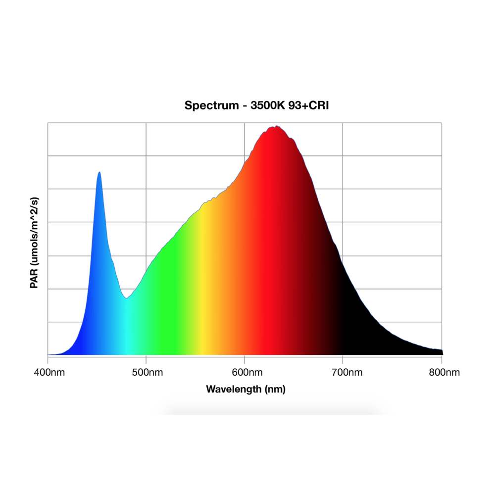 ARC 600 LED Light Fixture
