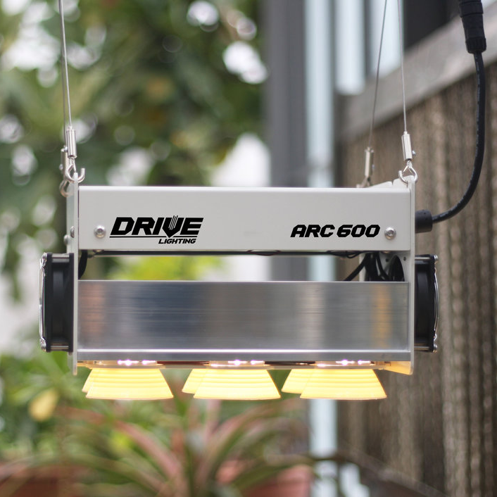 ARC 600 LED Light Fixture