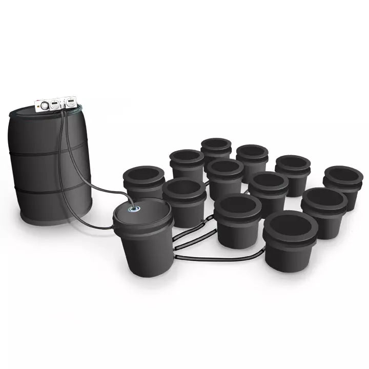 Big Boy Ebb & Flow Hydroponic System