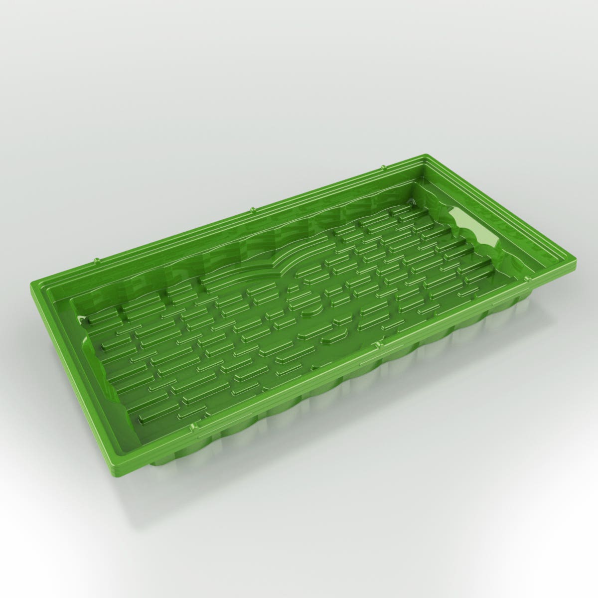 Outer Tray | Case