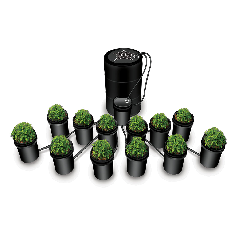 Class 5 Ebb & Flow Hydroponic System