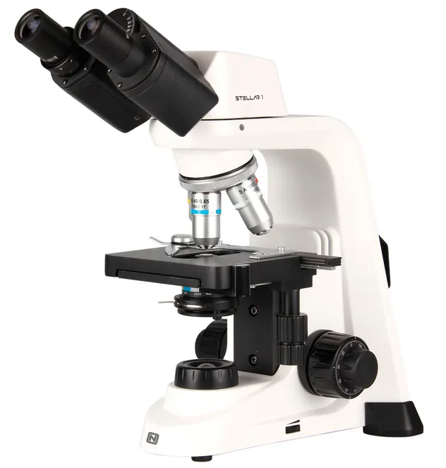 Compound Binocular Microscope