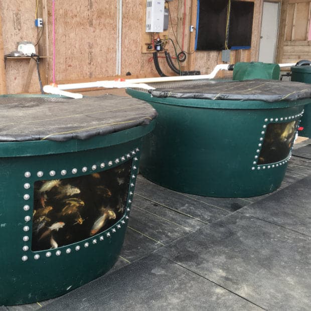 The Flourish Fish Farm 600 - Custom Quote Required