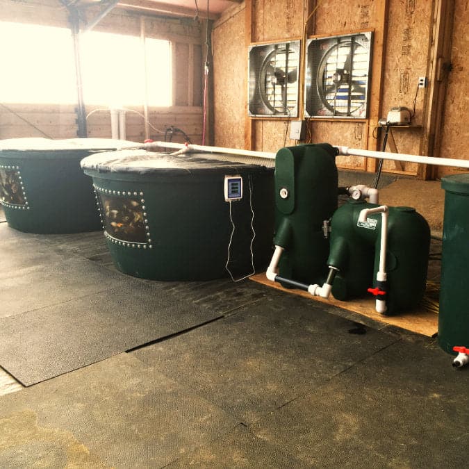 The Flourish Fish Farm 600 - Custom Quote Required