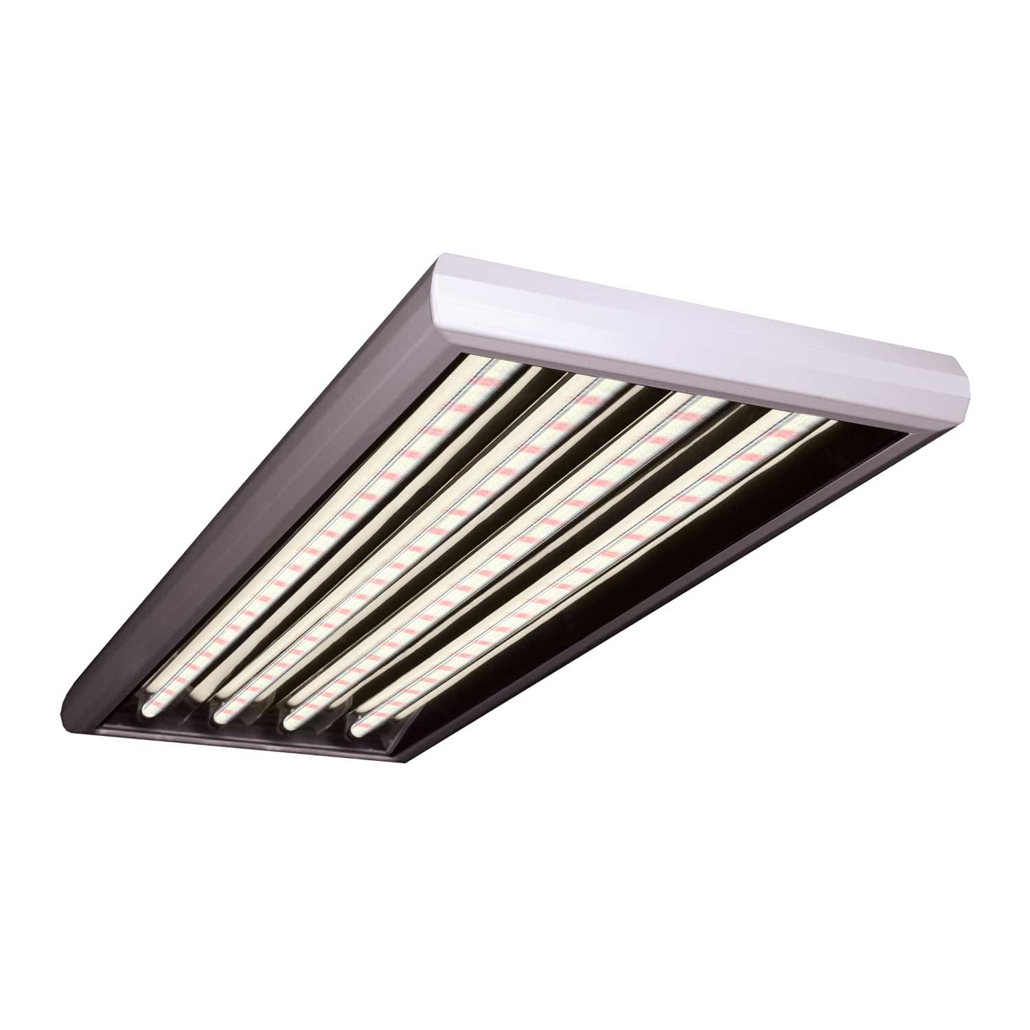 GrowBright 4 Foot T5 Bloom LED Grow Light   4 Bulb