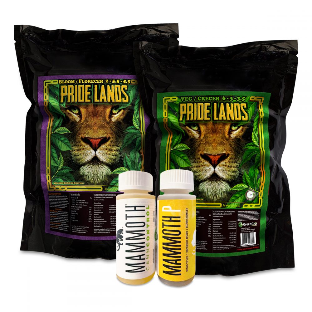 Supply Organic 315w CMH 2' x 3' Small Grow Tent Kit