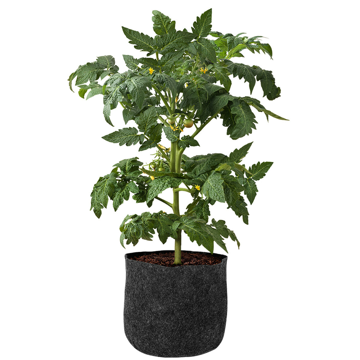 Supply FeltPots   3 Gallon 5 Packs