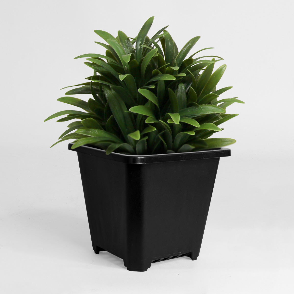 Supply 3.5 Inch Plastic Nursery Square Pot