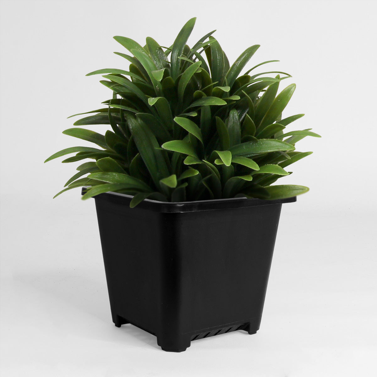 Supply 4 Inch Plastic Nursery Square Pot