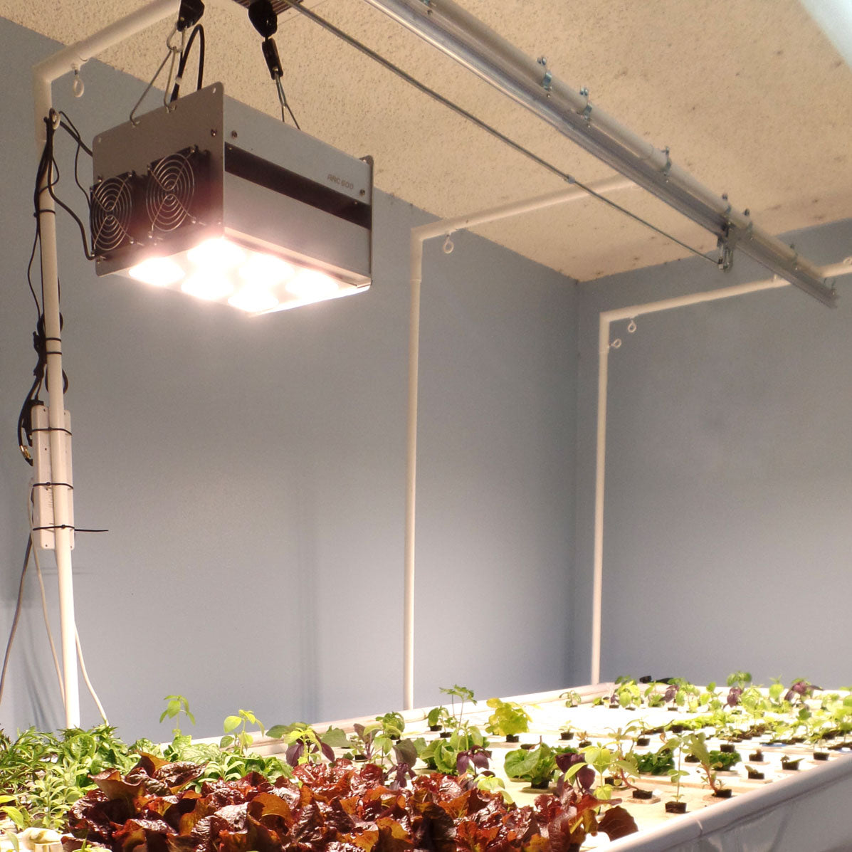 LED Performance Lighting Package