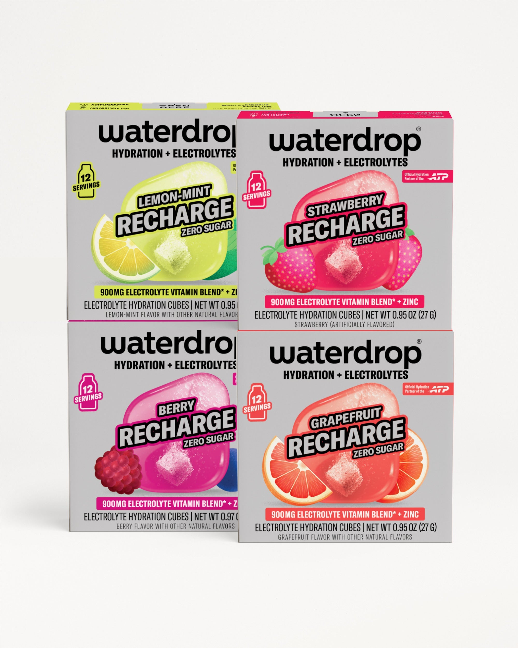 Microlyte RECHARGE Set