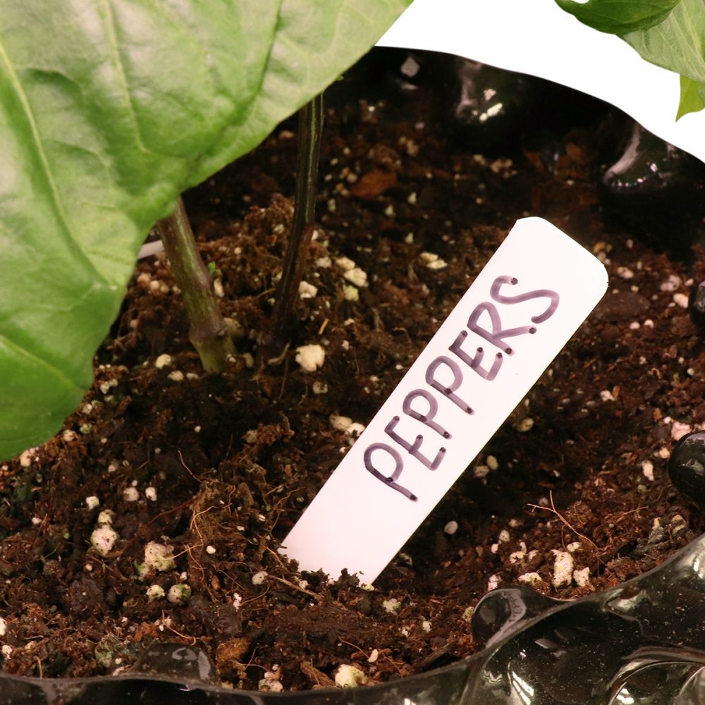 Supply Plastic Plant Labels