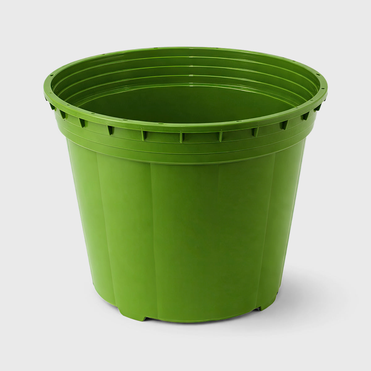3 Gallon Pot | Pallet