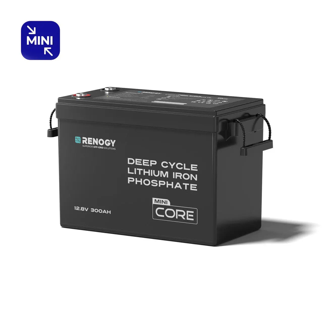 Mini Size 12V 300Ah LiFePO4 Battery w/ Low-Temperature Protection