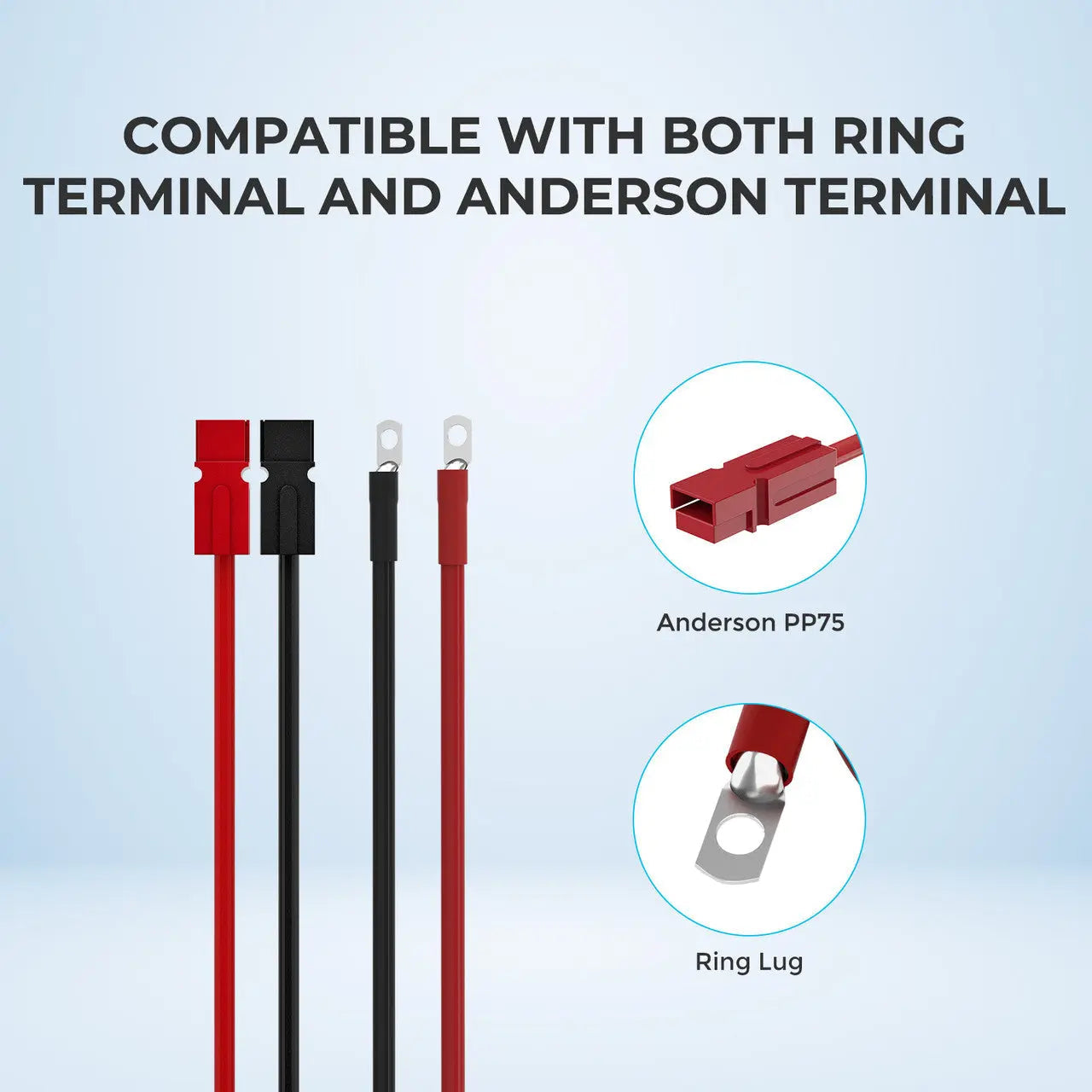 Renogy 10FT 6AWG Anderson Adapter Cable（Anderson PP75 - 3/8 in Lugs）