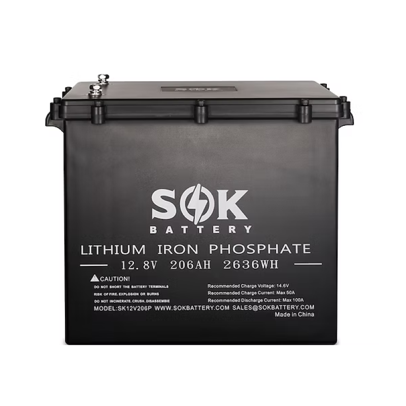 Inverters R Us EPOCH 12V 100Ah Eco Series LiFePO4 Battery