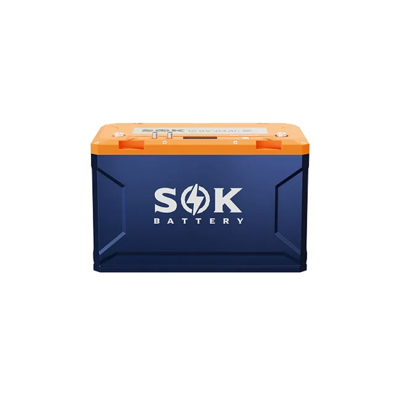 Inverters R Us SOK Battery 12V 206Ah LiFePO4 Deep Cycle Battery Metal Box