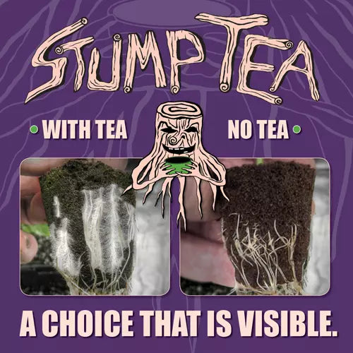 Stump Tea