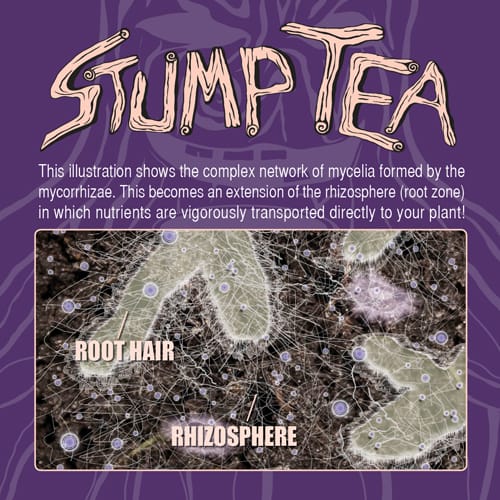 Stump Tea
