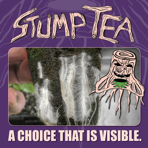 Stump Tea