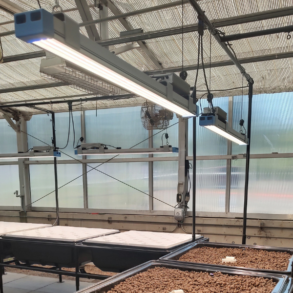 Thrive Agritech 300W Apex Light Bar