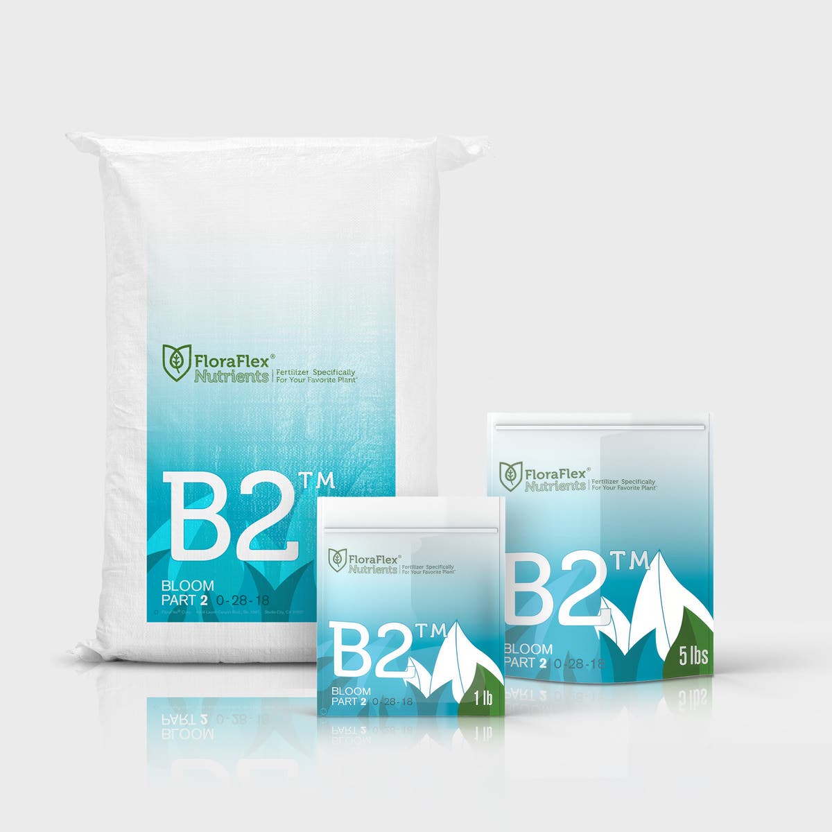 B2™ BLOOM PART 2