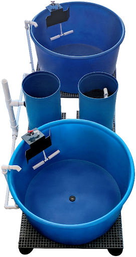 The Beginner’s Aquaculture System