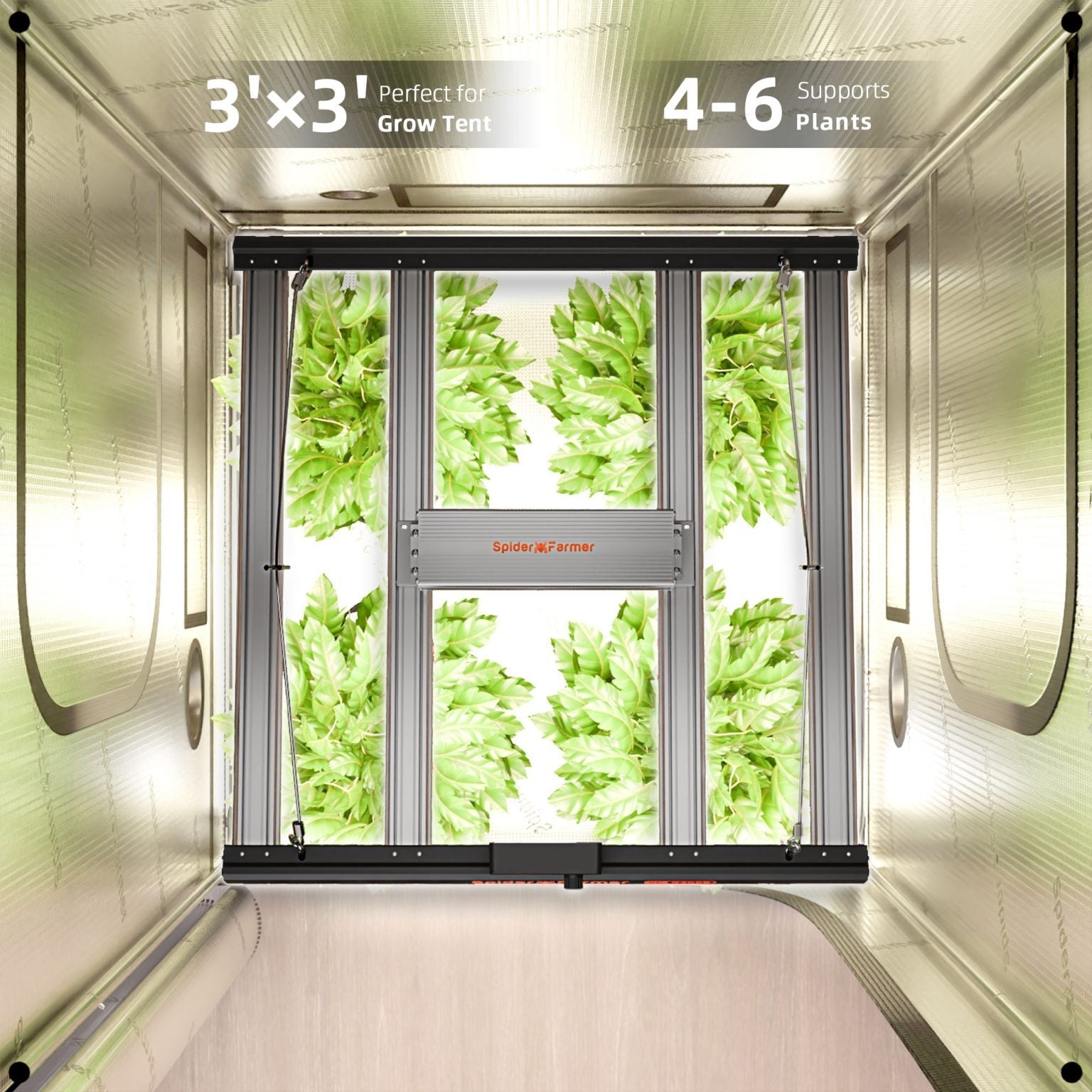 2025 Spider Farmer G3000 300W WiFi & Bluetooth App-Controlled Dimmable Cost effective Full Spectrum LED Grow Light for 3X3 Grow Tent