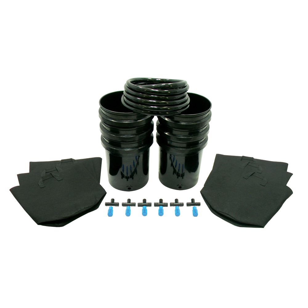 Class 5   6 Pot Expansion