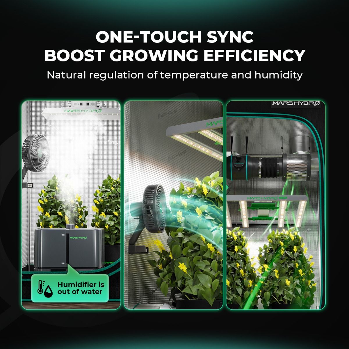 [2026 New Update] Mars Hydro TSW2000 300W Dimmable Full Spectrum LED Grow Light - Performance View
