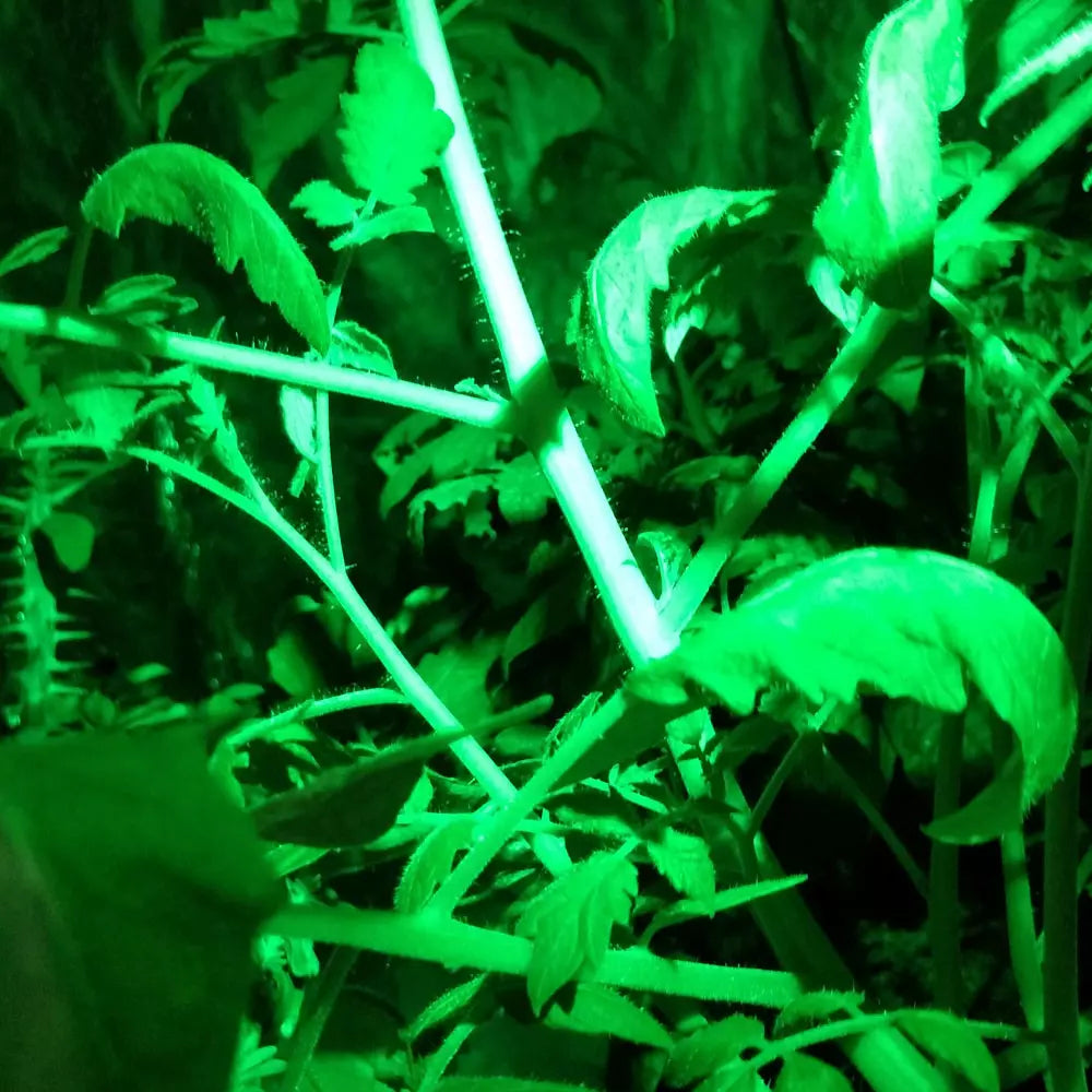 Green LED Flashlight