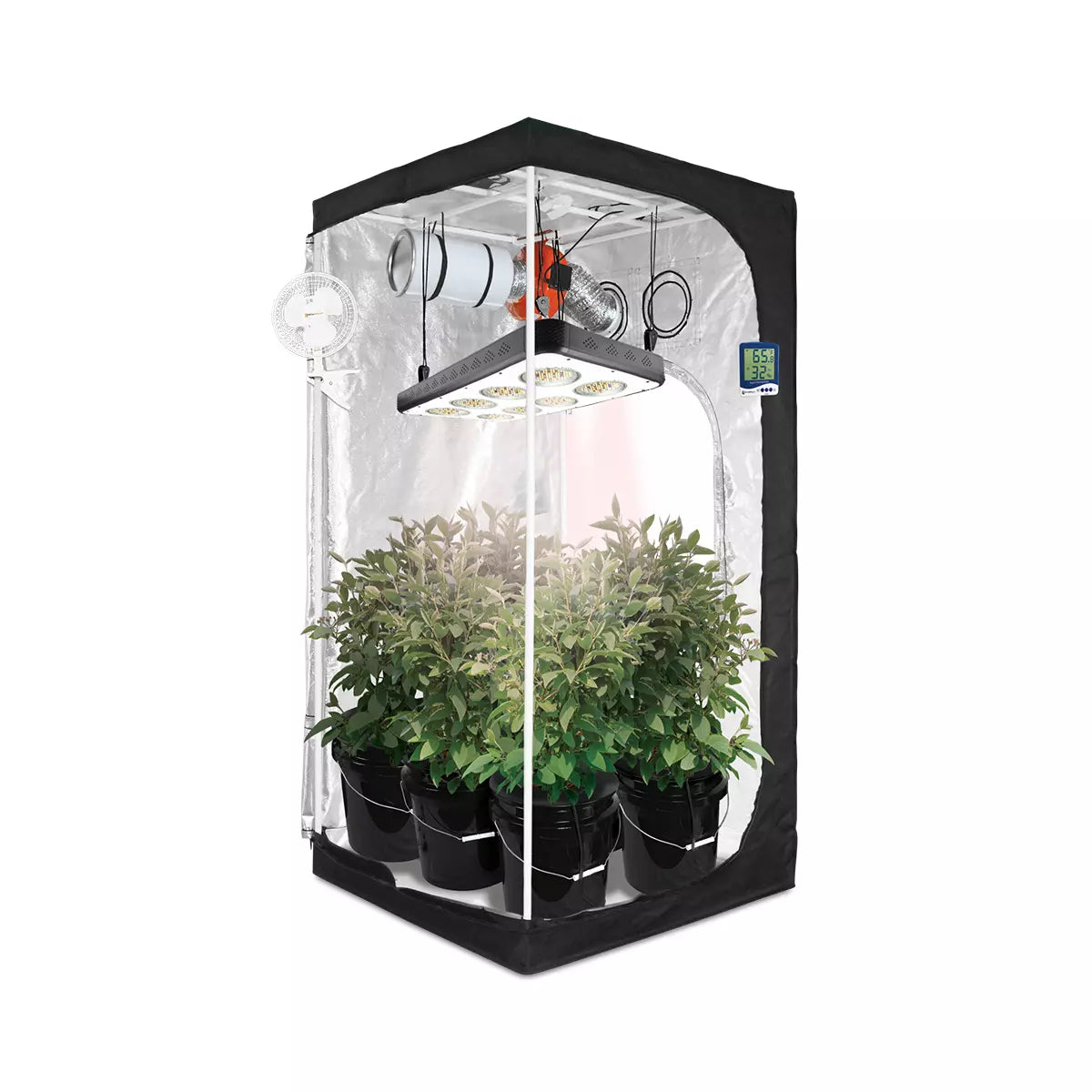 Supply 3' x 3' Hydroponic LED Grow Tent Kit   Original