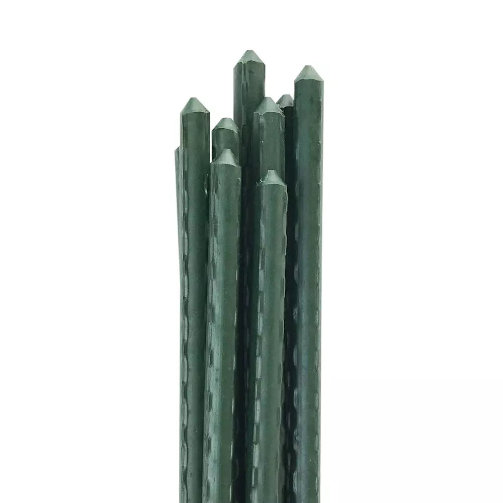 6' Tomato Stakes