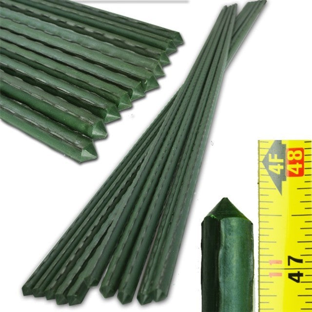 Supply Plant Support Stakes   4 Foot
