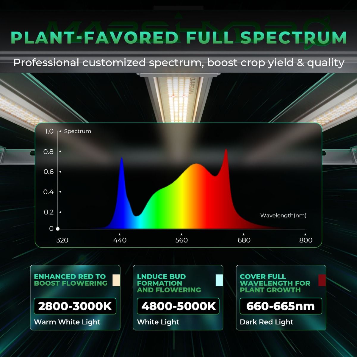 Mars Hydro Smart Dimmable FC-E3000 Bridgelux 300W Full Spectrum LED Grow Light for Indoor Plants - Usage View