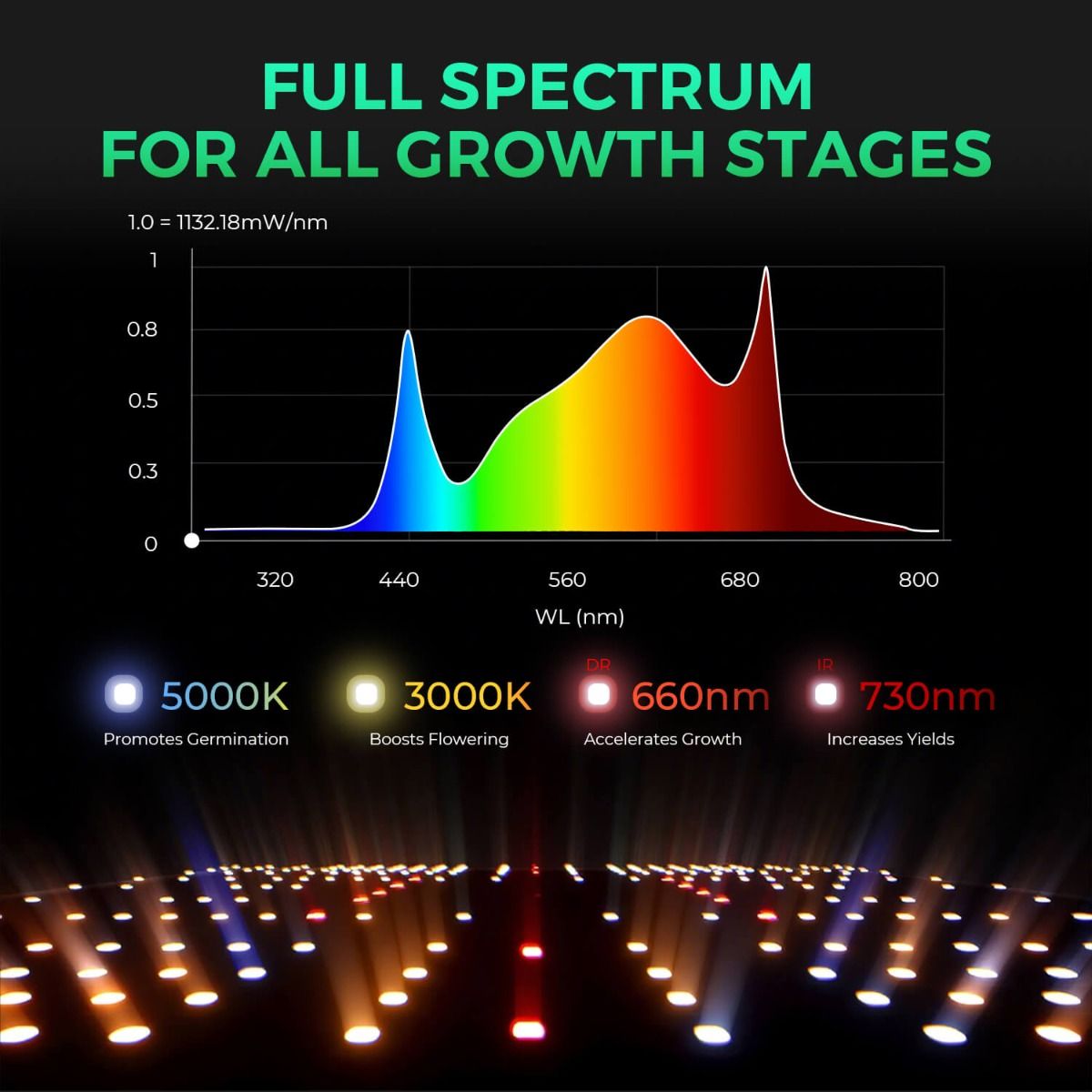 New Mars Hydro SP 3000 – Upgraded Full Spectrum & Uniform PPFD 300W LED for 2x4 Grow Tent - Detail View