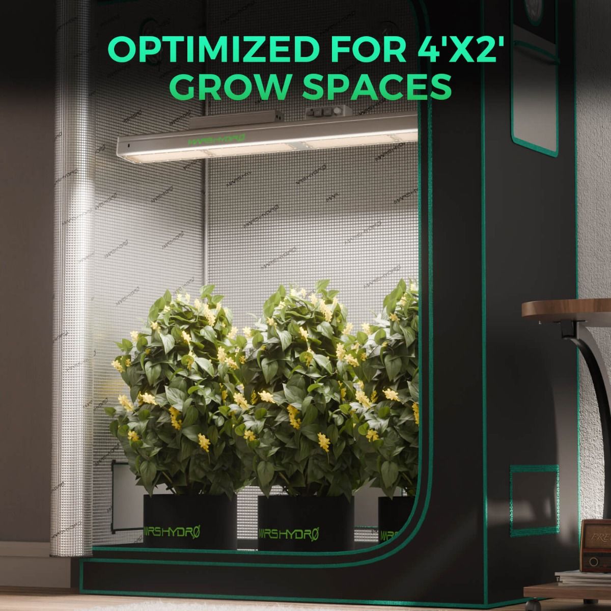 New Mars Hydro SP 3000 – Upgraded Full Spectrum & Uniform PPFD 300W LED for 2x4 Grow Tent - Packaging View