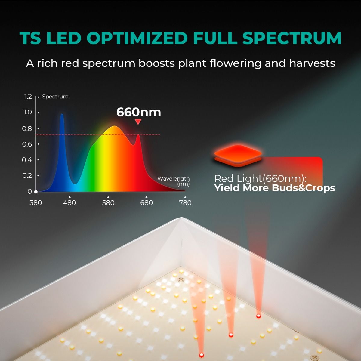 [Beginners‘ Choice] 2026 New Update Mars Hydro TS 1000 Full Spectrum Dimmable 150W LED Grow Light with Bluetooth Light Contro