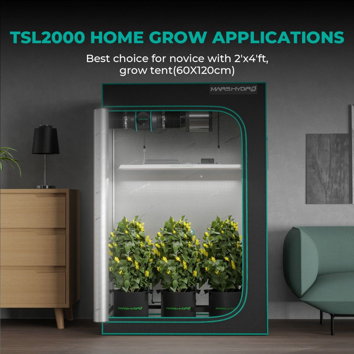 [2026 New Update] Mars Hydro TSL 2000 Full Spectrum Dimmable 300W LED Grow Light - Packaging View