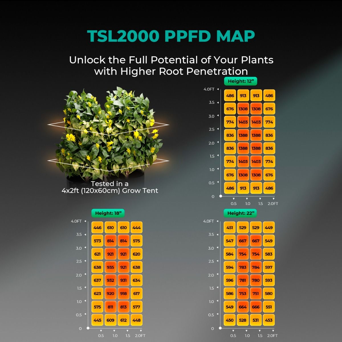 Mars Hydro TSL2000 300W LED Grow Light + 2'X4'(24"x48"x71") Indoor Tent Complete Grow Kits - Usage View