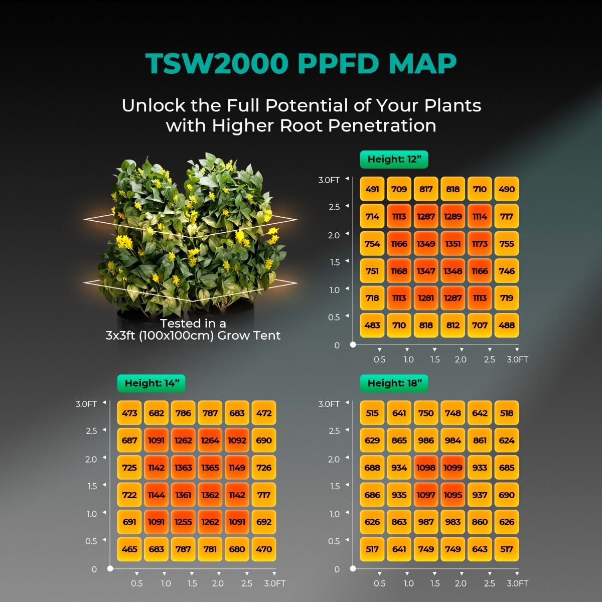 Mars Hydro TSW 2000 LED Grow Light + 4'X4'(48"x48"x80") Indoor Complete Grow Tent Kits - Usage View